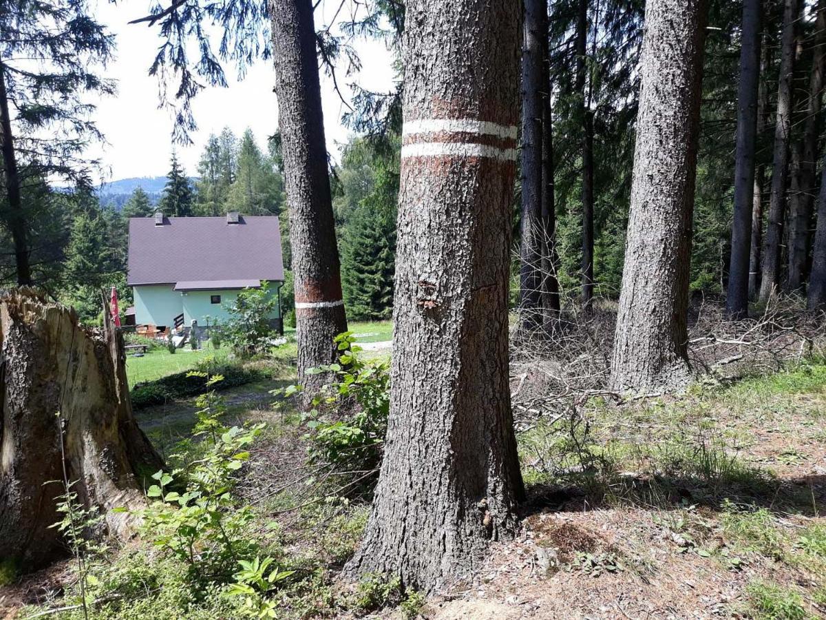 Chata Lipno Lipno nad Vltavou Exterior foto